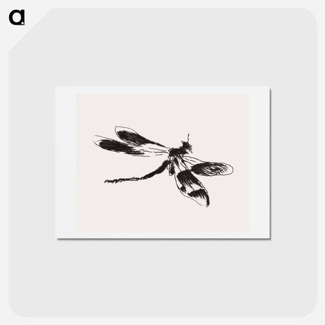 アートポストカード-Dragonfly - エドゥアール マネ Postcard.