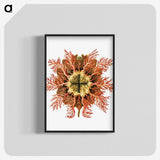 1-77_Ernst-Haeckel_blk-crop