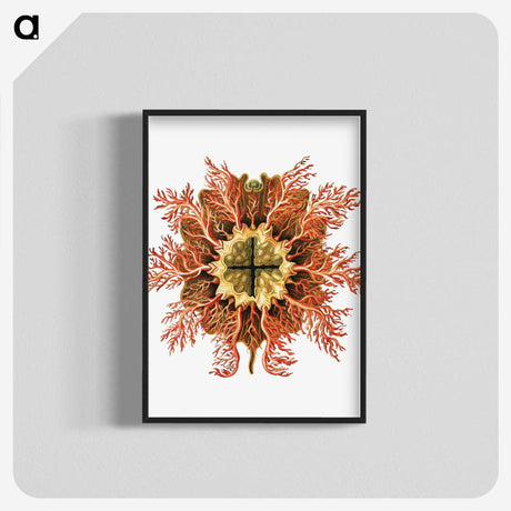 1-77_Ernst-Haeckel_blk-crop