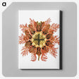 1-77_Ernst-Haeckel_canvas
