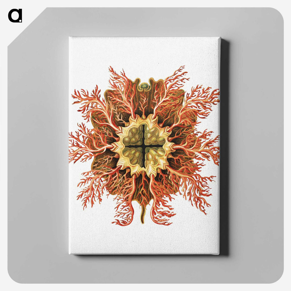1-77_Ernst-Haeckel_canvas