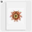 1-77_Ernst-Haeckel_picture