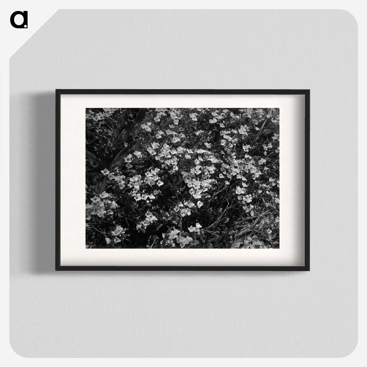 1-77_Frederick-Charles-Brockett_blk