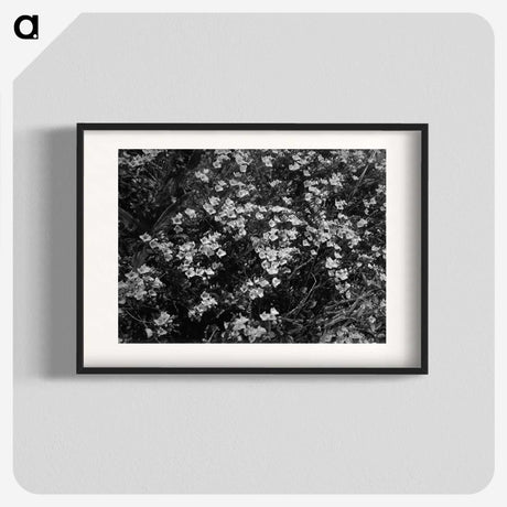1-77_Frederick-Charles-Brockett_blk