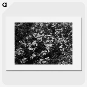 1-77_Frederick-Charles-Brockett_picture