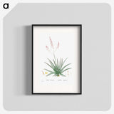 1-77_Histoire-des-Plantes-Grasses_blk