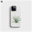 1-77_Histoire-des-Plantes-Grasses_phone