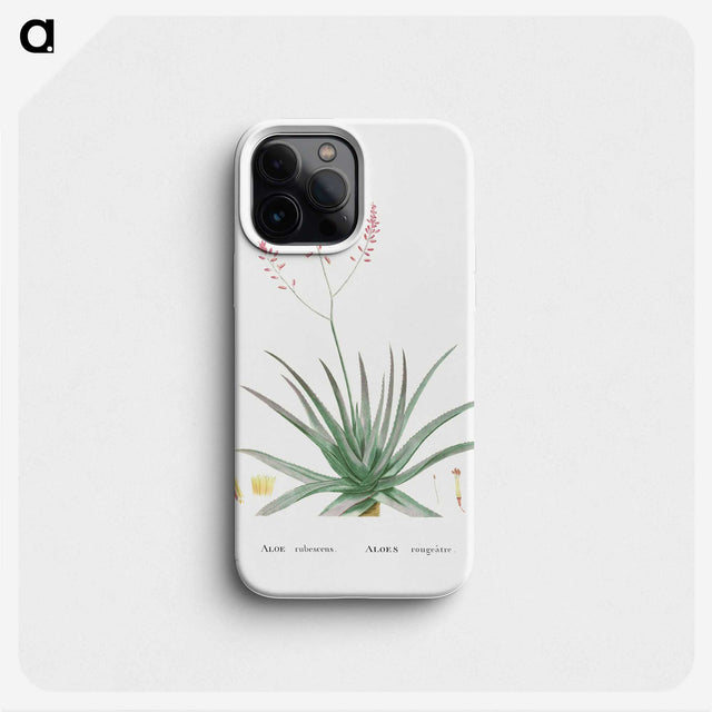 1-77_Histoire-des-Plantes-Grasses_phone