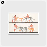 アートポストカード-Rural Life in Ancient Egypt
 - エジプト美術史 Postcard.