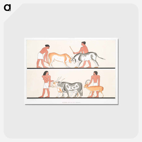 アートポストカード-Rural Life in Ancient Egypt
 - エジプト美術史 Postcard.