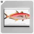 1-77_Ichtyologie-ou-Histoire-naturelle_canvas
