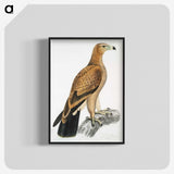 1-77_Indian-Zoology_blk-crop