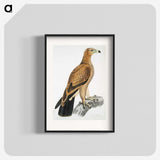 1-77_Indian-Zoology_blk