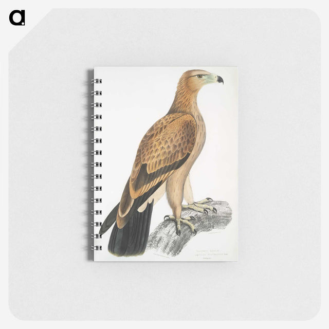 1-77_Indian-Zoology_memo