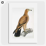 1-77_Indian-Zoology_picture