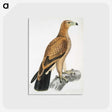 1-77_Indian-Zoology_postcard