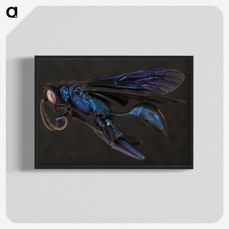 1-77_Insects-Unlocked-Project_blk-crop