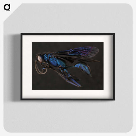 1-77_Insects-Unlocked-Project_blk