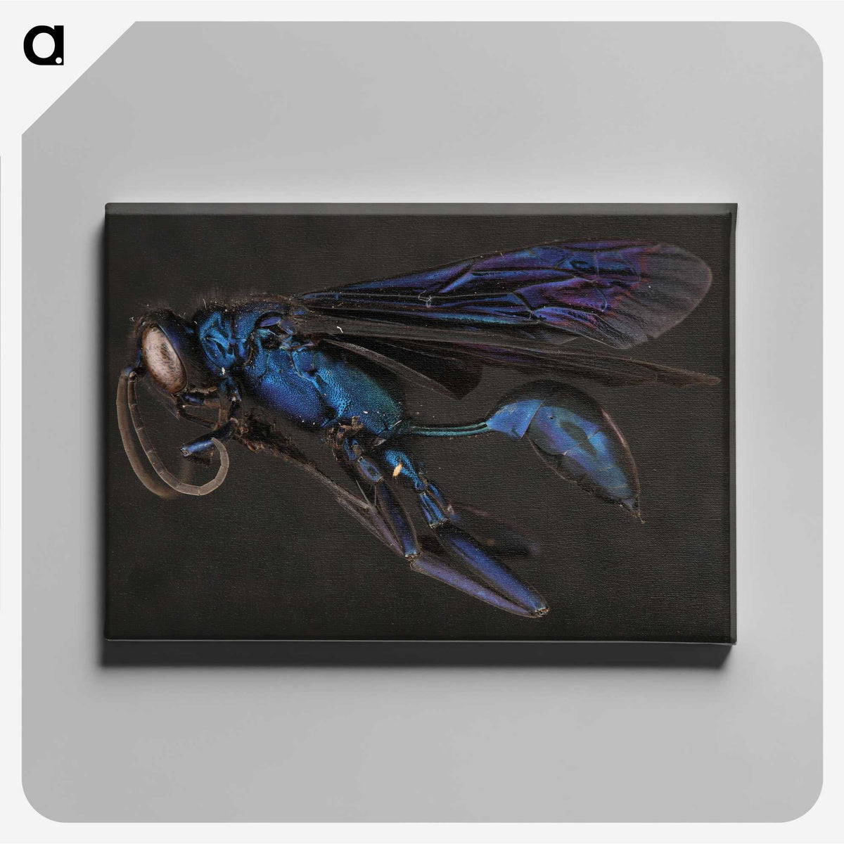 1-77_Insects-Unlocked-Project_canvas