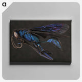 1-77_Insects-Unlocked-Project_canvas