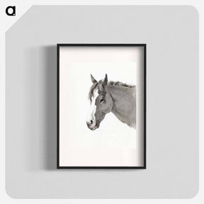 アートポスター-Head of a horse - ジャン ベルナール Poster.