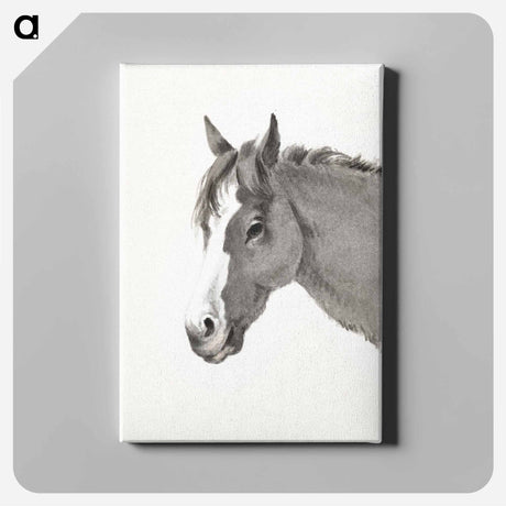 アートパネル-Head of a horse - ジャン ベルナール Canvas.