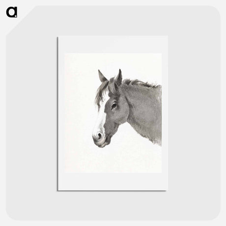 アートポストカード-Head of a horse - ジャン ベルナール Postcard.