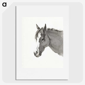 1-77_Jean-Bernard_picture