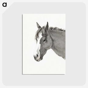 1-77_Jean-Bernard_postcard