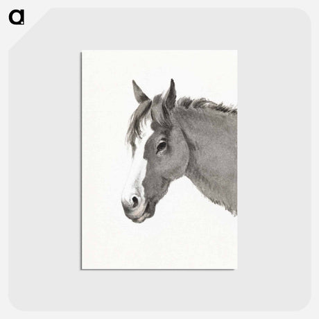 アートポストカード-Head of a horse - ジャン ベルナール Postcard.