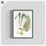 1-77_John-Gould_blk-crop