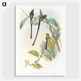 1-77_John-Gould_picture-crop