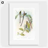 1-77_John-Gould_picture