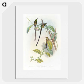 1-77_John-Gould_picture