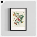 1-77_John-James-Audubon_blk