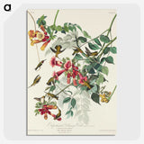 1-77_John-James-Audubon_picture-crop