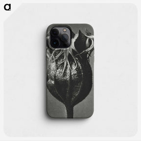 1-77_Karl-Blossfeldt_phone