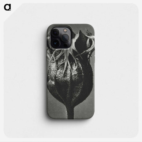 1-77_Karl-Blossfeldt_phone