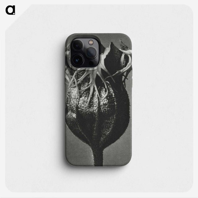 1-77_Karl-Blossfeldt_phone