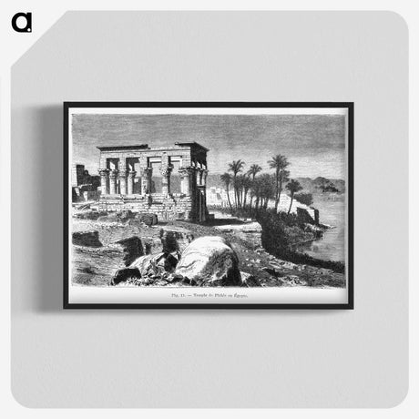 1-77_Les-Palmiers-Histoire-Iconographique_blk-crop