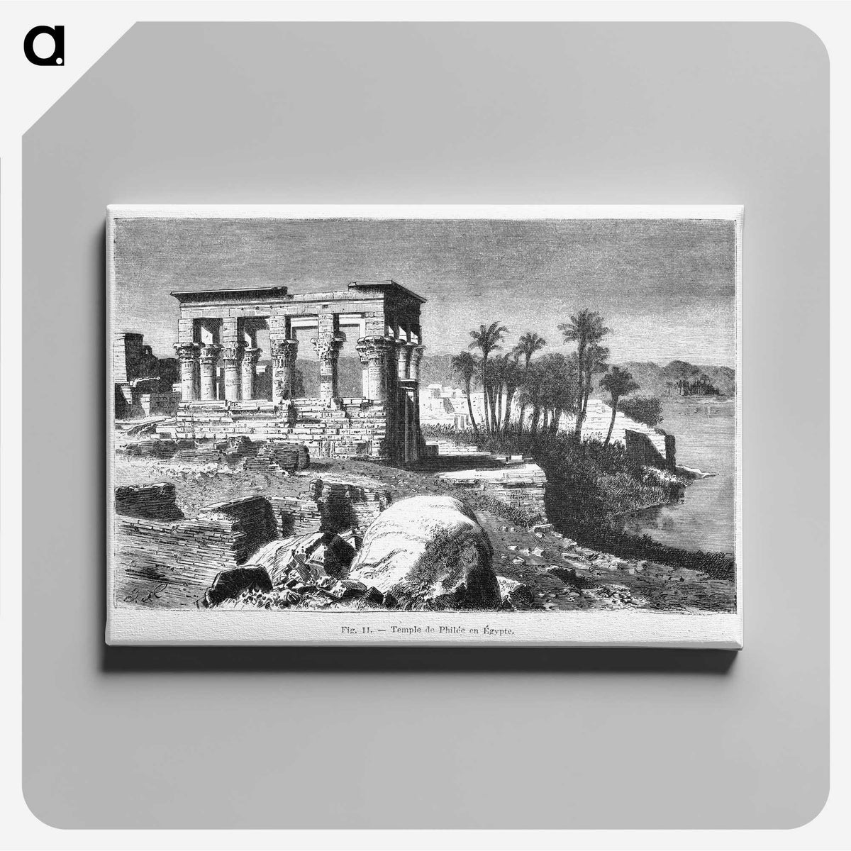 1-77_Les-Palmiers-Histoire-Iconographique_canvas