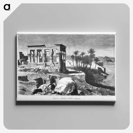 1-77_Les-Palmiers-Histoire-Iconographique_canvas
