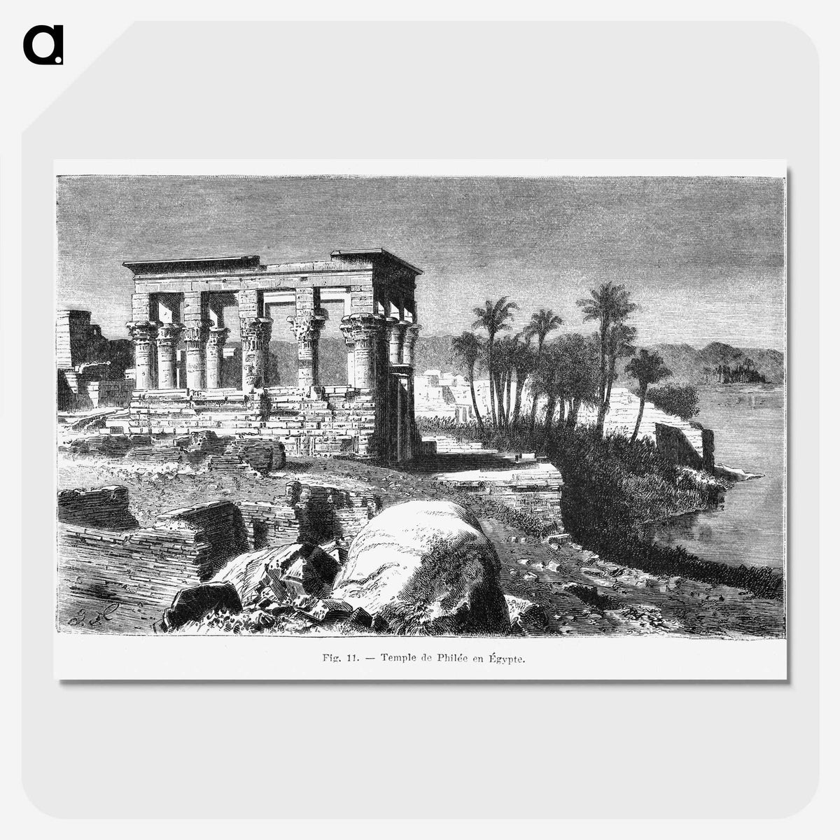 1-77_Les-Palmiers-Histoire-Iconographique_picture-crop