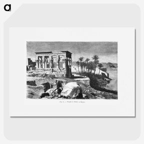 1-77_Les-Palmiers-Histoire-Iconographique_picture