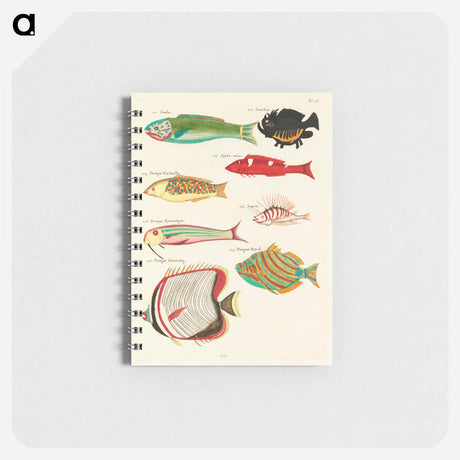 アートメモ帳-Moluccan Fishes
 - ルイ ルナール Memo.