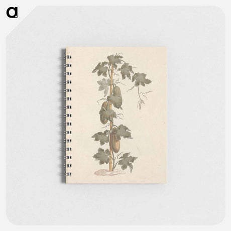 アートメモ帳-Peponium vogelii
 - ルイージ バルガーニ Memo.