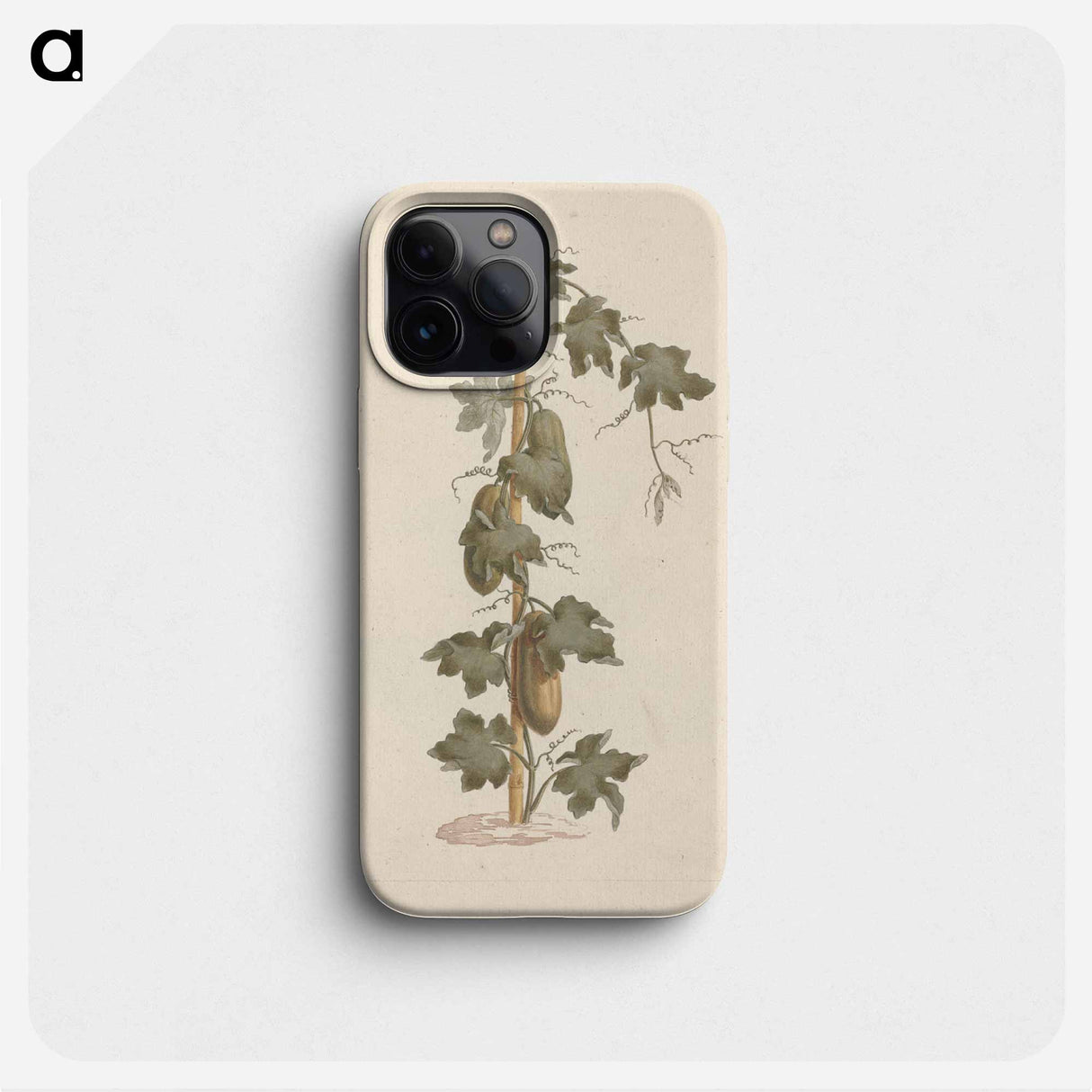 Peponium vogelii
 - ルイージ バルガーニ Phone Case.
