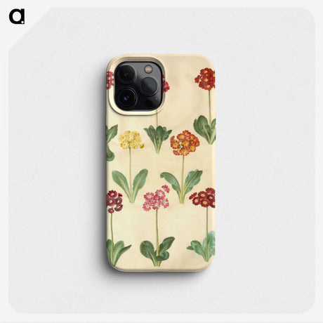 1-77_Maria-Sibylla-Merian_phone