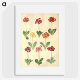 1-77_Maria-Sibylla-Merian_picture