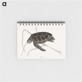 1-77_Mark-Catesby_memo
